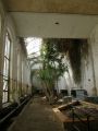 Palmový skleník - interiér 24. dubna 2013