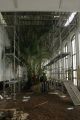 Palmový skleník - interiér 2.května 2013