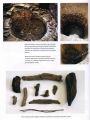 4. Objev staré studny ze 17. století (Helena Chybová, 2009)